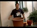 briconsejo: cultivar Marihuana