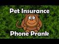 Pet Insurance Phone Prank!