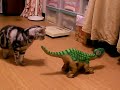 Breezer Met Pleo 1 Breezer Met Pleo 1