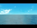 Adopted Films- Condor Ferries TV commercial