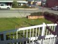 videos de CABOOSE 001