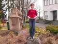 Rhetorikseminaren: Vortrag halten (Speakers\