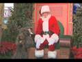 videos de It's A Dog's Day With Santa at Downtown Disney Orlando