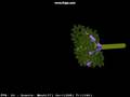 First Tree Test