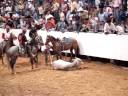 toros coleados en la villa olimpica de san juan de los morro guarico