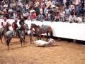 videos de toros coleados en la villa olimpica de san juan de los morro guarico