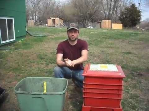 how to harvest earthworm castings