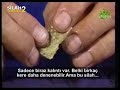 Yivli Av T�feklerinin Temizlenmesi Bolum-1