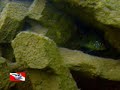 Mergulho SOS SUB Mergulho SOS SUB