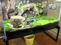 Poison Dart Frog Fogger Set Up Poison Dart Frog Fogger Set Up
