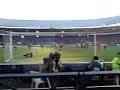 Feyenoord charisteas