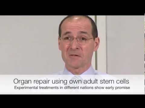 how to repair brain cells