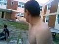 Bobo-revine-din-nou