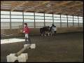 Margaret Beeman's Horsemanship Workshops
