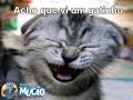 Mucao-com-br-Acho-qu