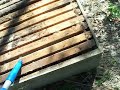 SNAKES 1, Georgia Beekeepers Beehive Snake video, Beekeeping Honeybee Hive Varmints,John Pluta Bee Hives. Pictures at georgiabees.blogspot.com Beekeeper finds snakes in Honey Bee Hives while working on them in South GA. Tupelo swamps