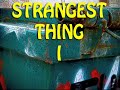My Strangest Dumpster Find My Strangest Dumpster Find