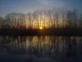videos de 783594*6514