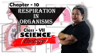 Class VII Science (Biology) Chapter 10: Respiration in Organisms
