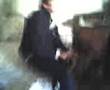 Zoofilia-amarilla-ni