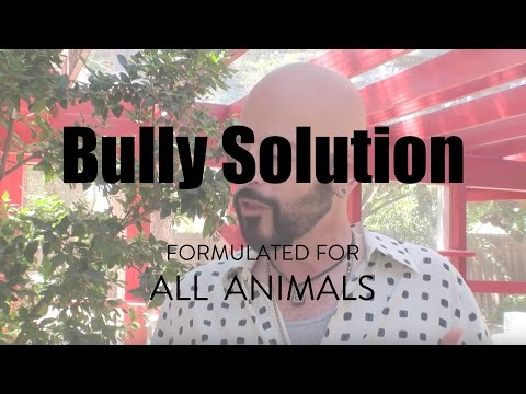 Bully Solution by Jackson Galaxy Solutions for Cats