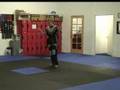 Melissa Darbee Demo 001