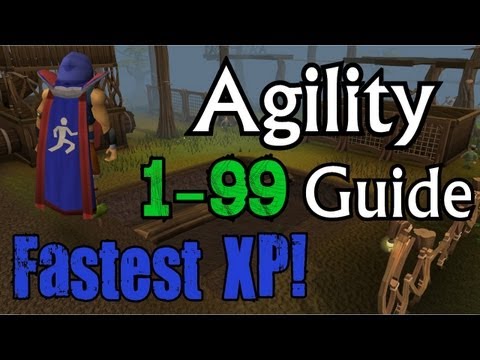 how to train agility 1-99