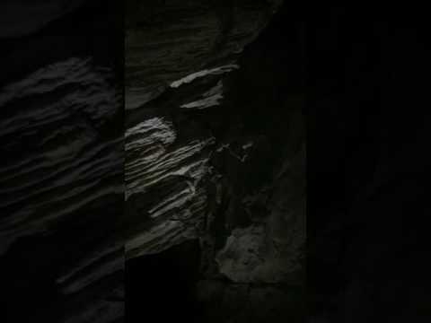 Imagen de previsualización de YouTube