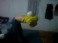 majid