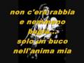 MASSIMO BUBOLA - LA RONDINE E IL FALCO
