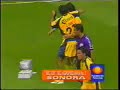 America Campeon