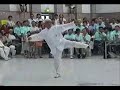 He style Zhaobao Taijiquan 2