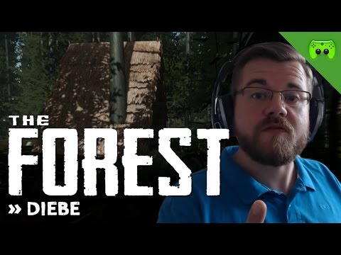 THE FOREST # 22 - Diebe «» Let's Play The Forest | HD