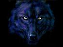 Wolf Tribute