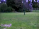 fitzroy garden