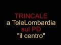 Trincale il PD-centro