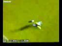 drible de ronaldinho drible de ronaldinho