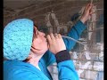 A day in the life of a museum scientist