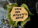 Myzzty vote 061 Myzzty vote 061