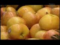 This episode of Feast Or Famine looks at food safety within the food supply chain. We use the U.S. National School Lunch Program as a case study as we describe how science, technology and policy impact food safety from the beginning to end of the food supply chain. This program's objectives are to educate the viewer about the organisms that make us sick, how these organisms get into our food supply chain and what we can do to protect ourselves from food born illnesses. In this episode we will hear from the leading experts from the Ag Marketing Service USDA, Donna Shalala Secretary US Health and Human Services (ret), University of Wisconsin, National Meat Association and more.