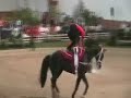 Championnat de France 2008