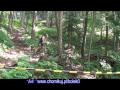 Powerade MTB Marathon Krynica Zdrój  04 07 2009  PART8