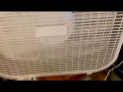 how to eliminate wind noise in video