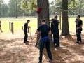 videos de Skills Demo 3