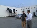 Bovine Intervention