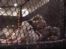 Jason Chavis vs Kenny Kretzer