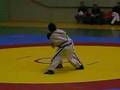 2007 China National Shuaijiao Championships