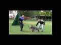 Preview video <strong>Velsa di Oroval  Protection Ottobre  2011</strong>