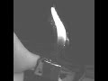 lighter