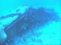 Elegant firefish＆Giant Trevally